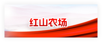 红山农场