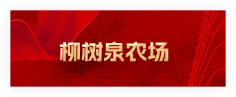 柳树泉农场